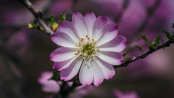 AI generated Blossom green petals artistic out of focus ultra violet photo