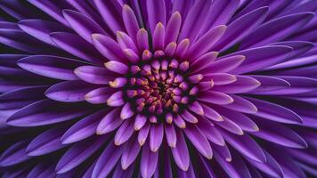 AI generated Interesting abstract purple flower created using macro lens photo