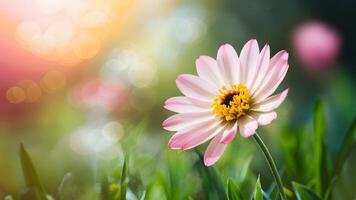 AI generated Beautiful spring flower on dreamy fantasy blurred bokeh background photo