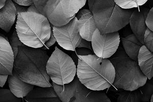 AI generated Texture of dry petals and transparent leaves as natural background. photo