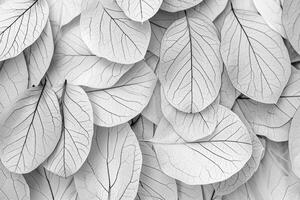 AI generated Texture of dry petals and transparent leaves as natural background. photo