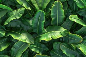 AI generated green ribbed plantain  plant  beautiful floral background  3d render photo