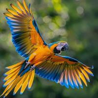 AI generated Blue and Yellow Parrot Flying Through the Air photo