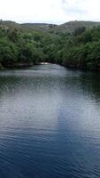 verticaal video van rivier- en Woud antenne visie