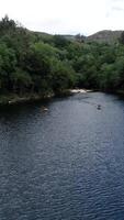 Vertikale Video von Fluss und Wald Antenne Aussicht