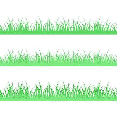 Set of seamless borders of green grass of different types on a transparent background