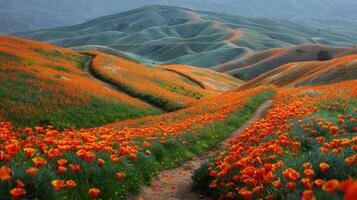 ai generado camino mediante campo de flores foto