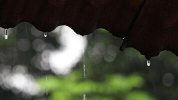 pingos de chuva formando em a cobertura e queda com Sombrio conceito, chuvoso estação video