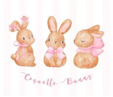 Coquette Bunny set, Two Adorable Brown rabbits in heart frame with pink ribbon bow watercolor Aesthetic painting vector