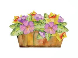 Hand drawn watercolor illustration spring gardening wooden box with flowers leaves buds, nature plant. Composition isolated on white background. Design print, shop, scrapbooking, packaging, decoupage vector