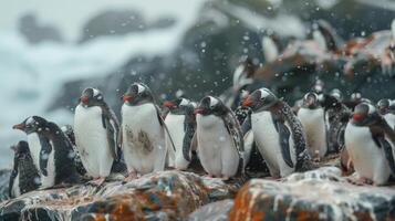 AI generated Group of Penguins Standing in the Snow photo