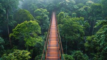 AI generated Wooden Walkway in Forest photo