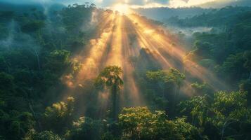 AI generated Sun Shining Through Clouds in Jungle photo