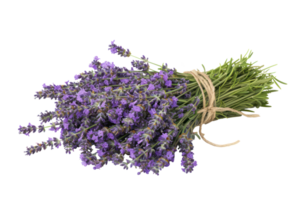 ai generado lavanda ramo de flores atado con enroscarse png