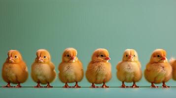 ai generado pequeño amarillo pollos en pie juntos foto