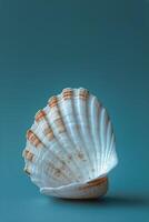 AI generated Sea Shell on Blue Background photo
