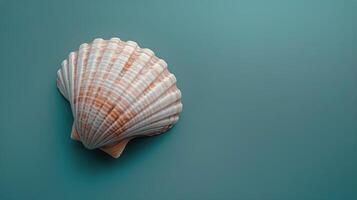 AI generated Sea Shell on Blue Background photo