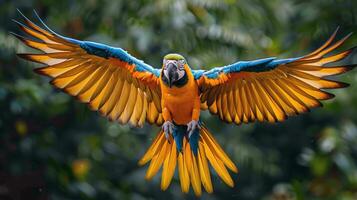AI generated Blue and Yellow Parrot Flying Through the Air photo