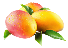 ai gegenereerd rijp mango en sappig Aan transparant achtergrond - voorraad png. png