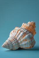 AI generated Sea Shell on Blue Background photo