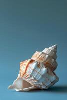 AI generated Sea Shell on Blue Background photo