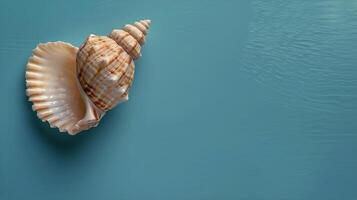 AI generated Sea Shell on Blue Background photo