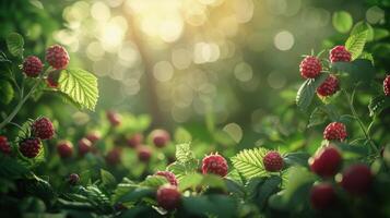 AI generated Raspberries Growing on Bush in Forest photo