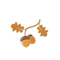 oak acorn vector illustration design