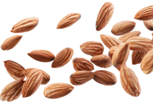 AI generated Scattered almonds on transparent background - stock png. png