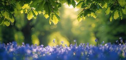 AI generated Field of Blue Flowers With Trees photo