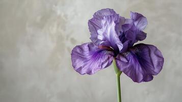 AI generated Two Purple Flowers in a Vase on a Table photo