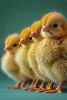 AI generated Group of Small Yellow Chicks on Blue Surface photo