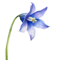 AI generated Watercolor of the bluebell flower on transparent background, capturing its ethereal beauty and grace png