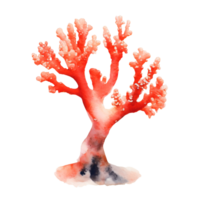 AI generated Artistic watercolor depiction of coral on a transparent background. png