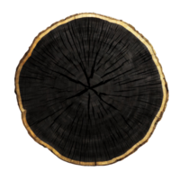 AI generated Black wood slice texture on transparent background png