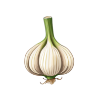 AI generated Garlic bulb cartoon on transparent background png