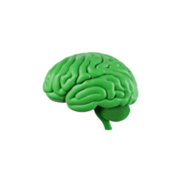 AI generated 3D model of the human brain green, on transparent background png