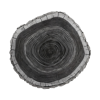 AI generated Gray wood slice texture on transparent background png