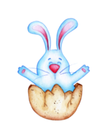 Watercolor illustration of a cute blue Easter bunny protruding from an egg. Hare in a shell drawing for children. Easter, religion, tradition. Isolated. Drawn by hand. png