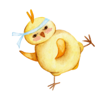 Watercolor illustration of funny yellow chicken will howl karate. Rooster fighter with a bandage on his head. Isolated. Drawn by hand. png