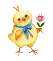 Watercolor illustration of a cute little yellow chicken with a blue bow and a flower in hand. Chicken drawing for children. Easter, religion, tradition. Isolated. Drawn by hand. png