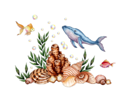 Watercolor illustration of the underwater world with a whale, seaweed, beige corals, shells and bubbles. Sea animals isolated. Compositions for posters, cards, banners, flyers, covers, png