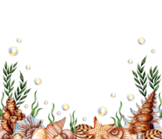 acquerello illustrazione di il subacqueo mondo con alghe, coralli, conchiglie e bolle. fondale marino isolato a partire dal sfondo. composizioni per manifesti, carte, striscioni, volantini, copertine, Stazionario png