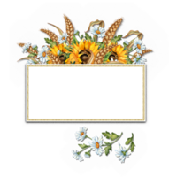 Watercolor illustration of a bouquet of yellow sunflowers, white daisies, ears of wheat with a frame with space for text. Harvest Festival. Compositions for posters, cards, banners, flyers, covers. png