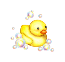 acuarela ilustración pequeño amarillo caucho Pato en jabón burbujas bañera tiempo. inflable caucho pato. pinturas para tela, textiles, para niños ropa, fondo de pantalla, envase papel, embalaje, diseño png