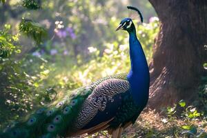 AI generated Side view of a peacock standing gracefully in the wild photo