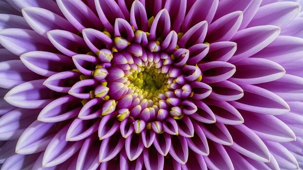 AI generated Abstract macro image features mesmerizing flower petals background photo