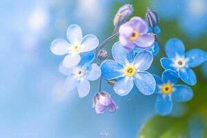 AI generated Inspirational blooms Forget me not flowers in macro, a springtime symphony photo