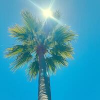 AI generated Tropical palm tree against a blue sky with bright sun For Social Media Post Size photo