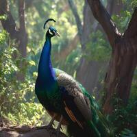 AI generated Elegant peacock stands in the midst of natural surroundings For Social Media Post Size photo